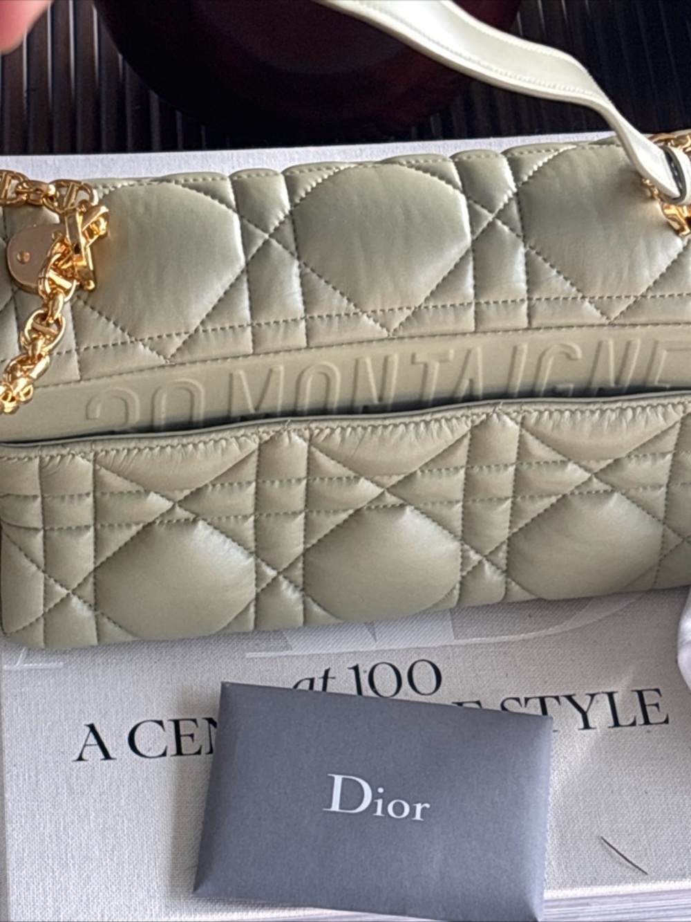 Dior Quilted Crossbody medium Bag in Sage Green with Gold CD Accent - Picture 10 of 13